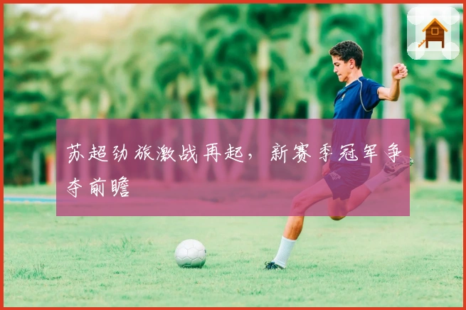 苏超劲旅激战再起，新赛季冠军争夺前瞻